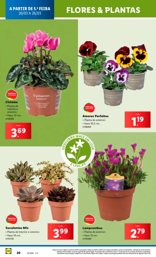 Folheto Lidl Bazar 20 a 26 de Março de 2025 - Página 20