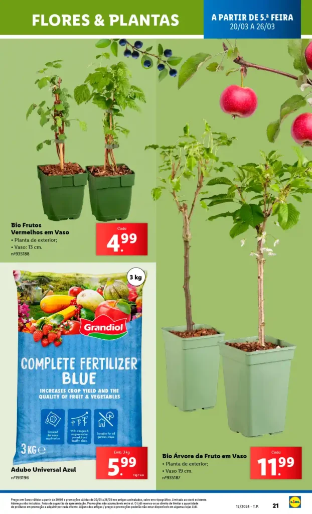 Folheto Lidl Bazar 20 a 26 de Março de 2025 - Página 21
