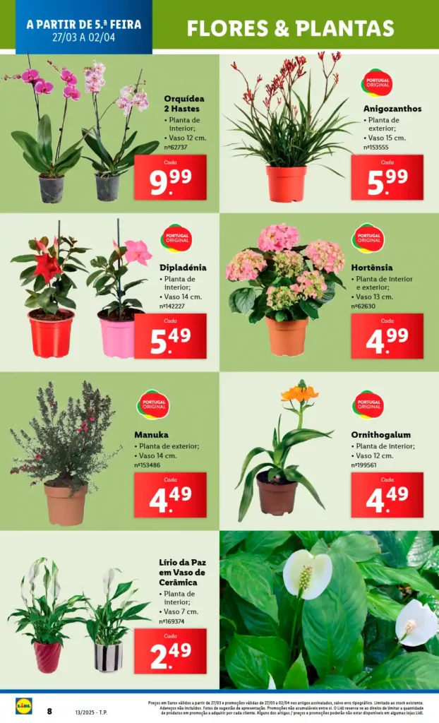 Folheto Lidl Bazar 27 de Março a 2 de Abril de 2025 - Página 08