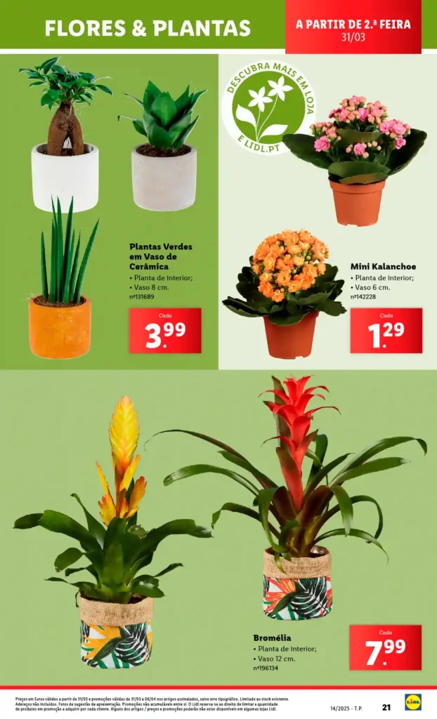 Folheto Lidl Bazar 31 de Março a 6 de Abril de 2025 - Página 21