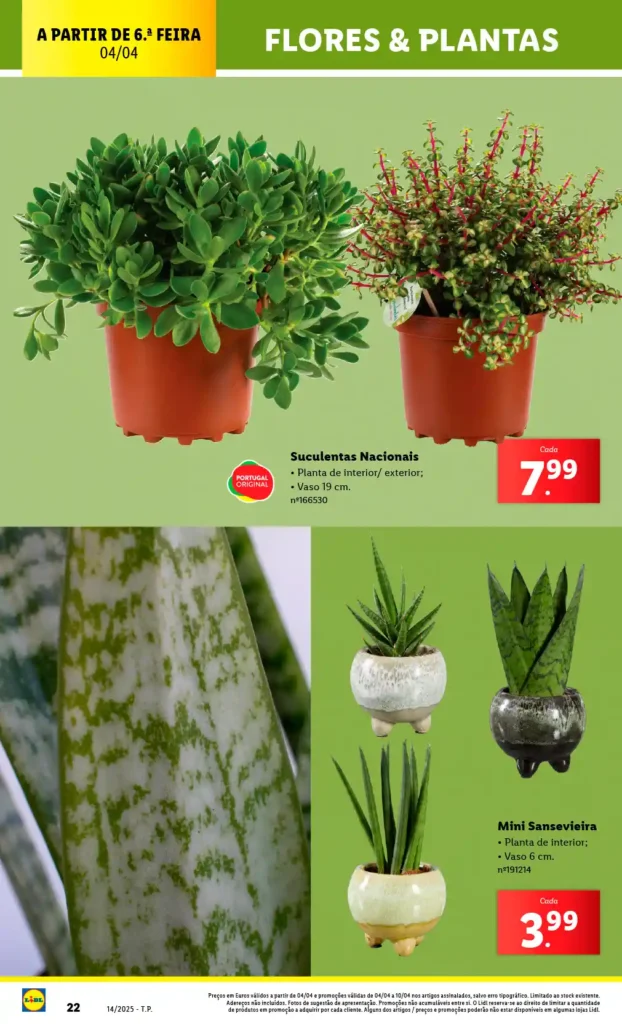 Folheto Lidl Bazar 31 de Março a 6 de Abril de 2025 - Página 22