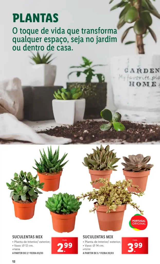 Folheto Lidl Especial Jardim 2025 - Página 12