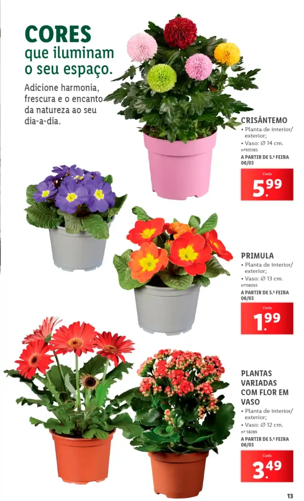 Folheto Lidl Especial Jardim 2025 - Página 13