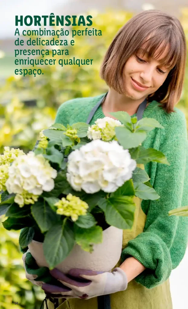 Folheto Lidl Especial Jardim 2025 - Página 14