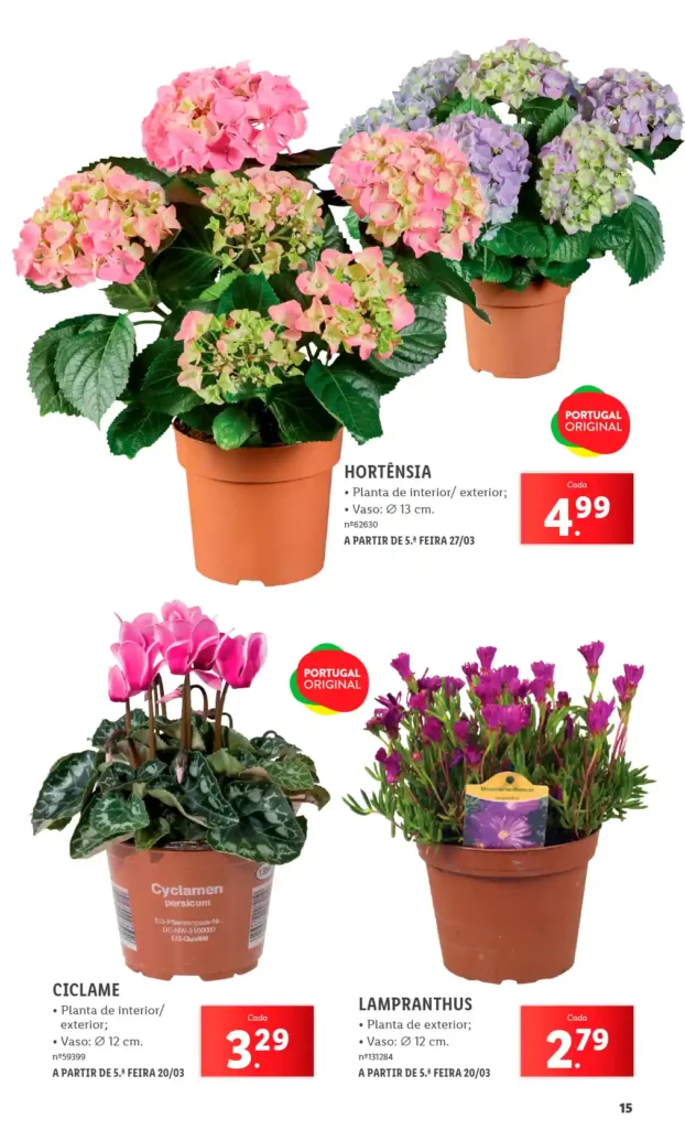 Folheto Lidl Especial Jardim 2025 - Página 15