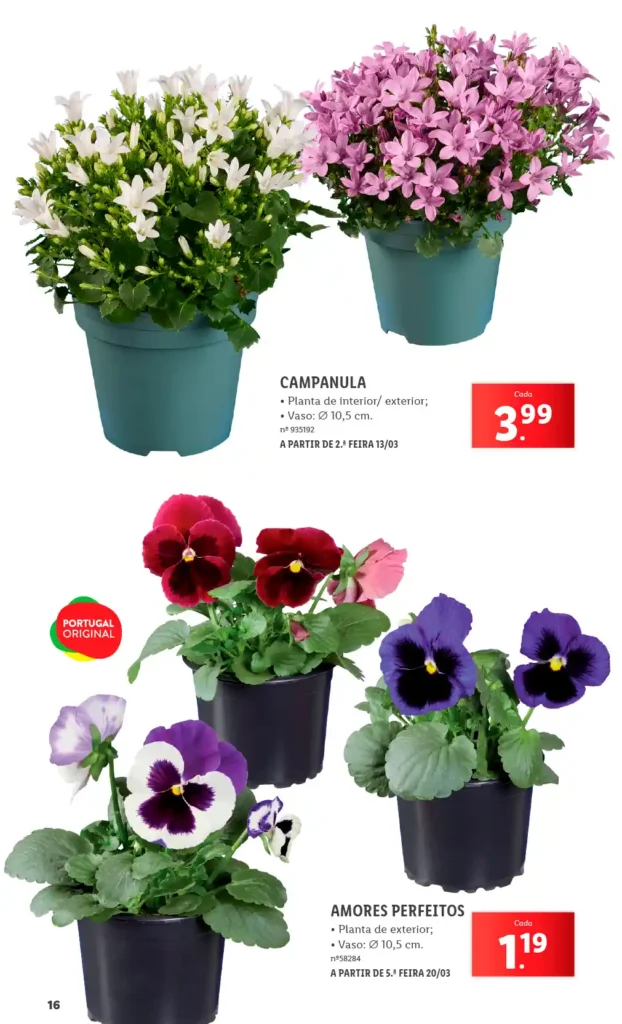 Folheto Lidl Especial Jardim 2025 - Página 16