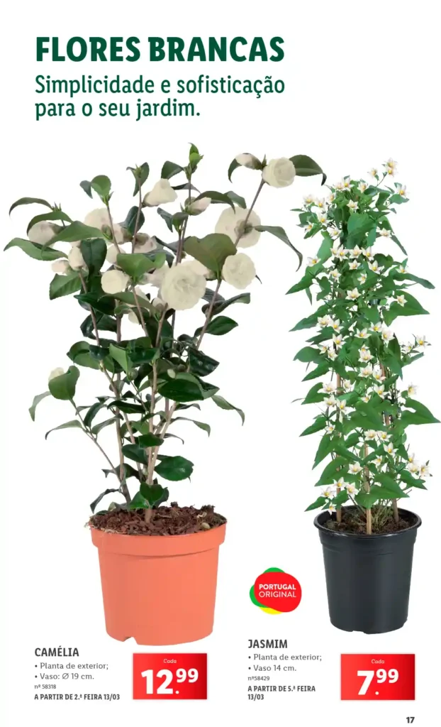 Folheto Lidl Especial Jardim 2025 - Página 17