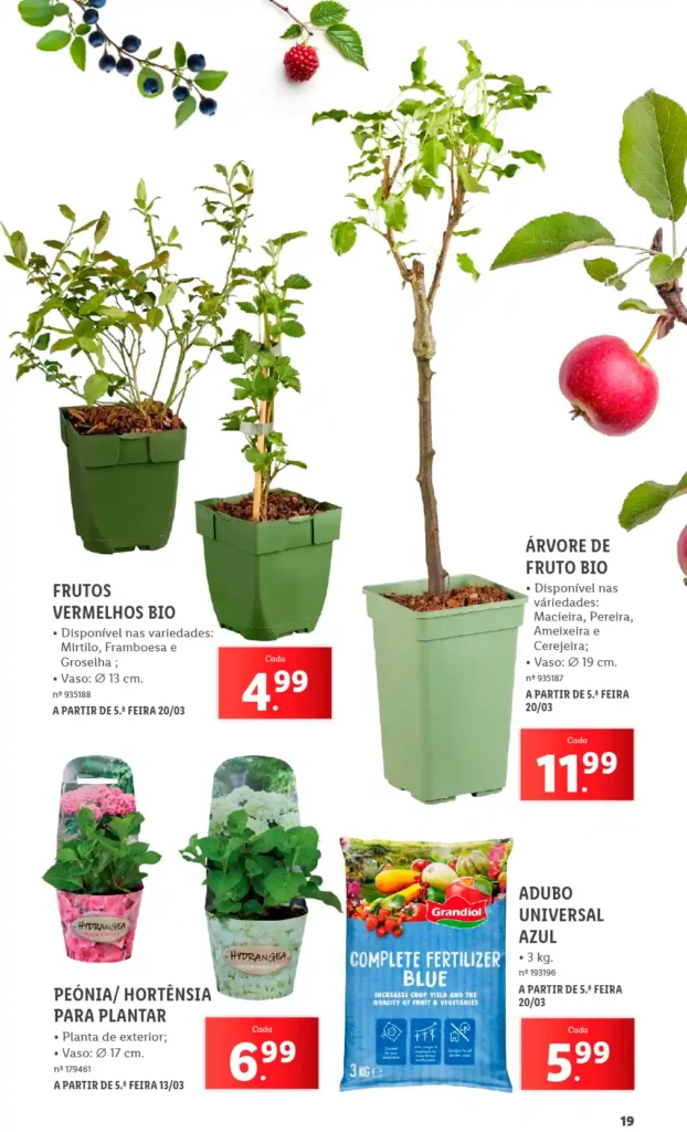 Folheto Lidl Especial Jardim 2025 - Página 19