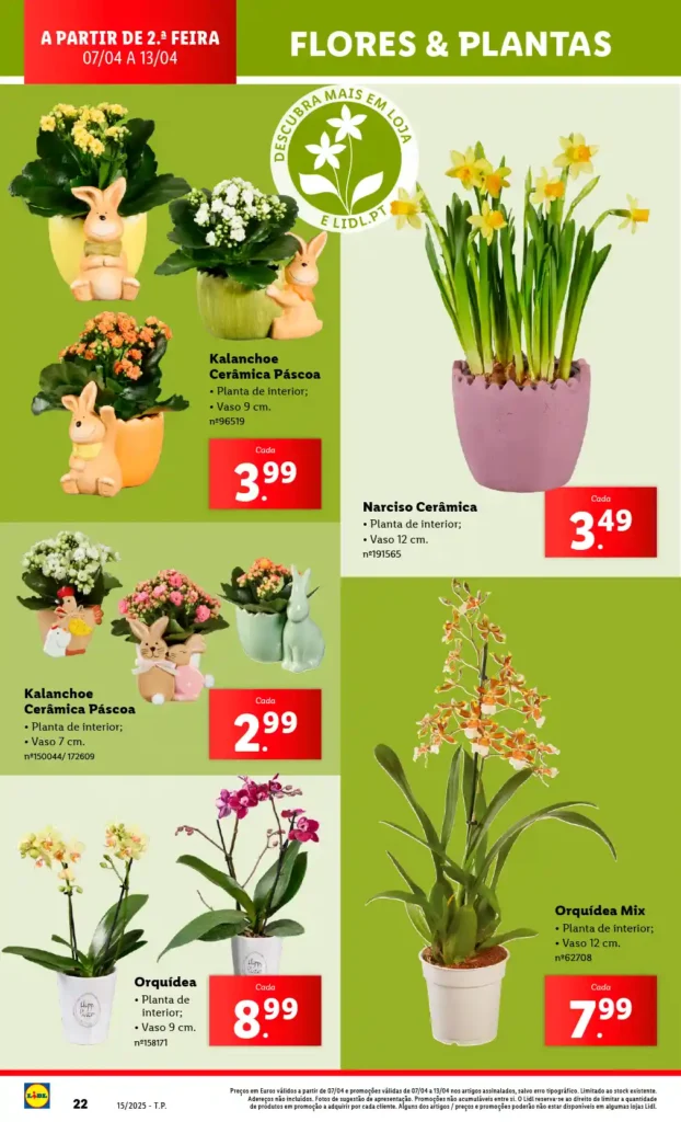 Folheto Lidl Bazar a partir de 7 de Abril de 2025 - Página 22