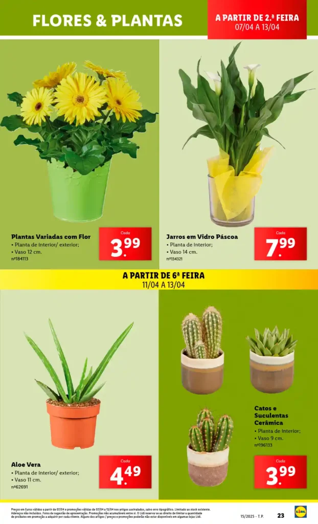 Folheto Lidl Bazar a partir de 7 de Abril de 2025 - Página 23